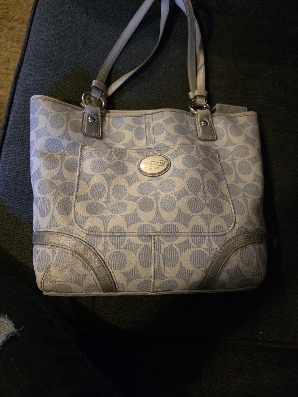 Coach Signature Canvas Tote Bag in Light Gray